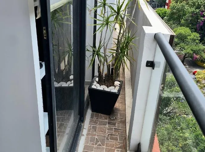 Apartamento Excelente Ubicacion En Colonia Del Valle